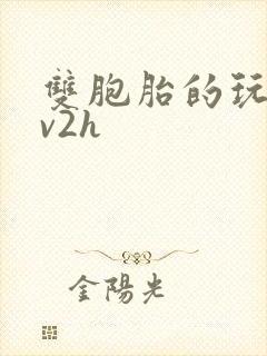 双胞胎的玩具1v2h