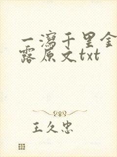 一泻千里金银花露原文txt封面