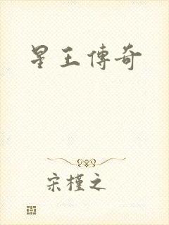星王传奇