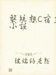 系统想C宿主的小说