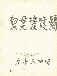 韵母攻略顾小暖原文在线阅读封面