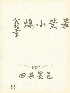 翁熄小莹最新节章封面