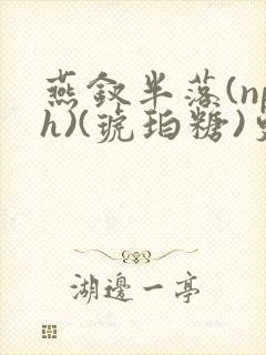 燕钗半落(nph)(琥珀糖)更新