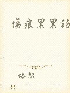 伤痕累累的勋章封面