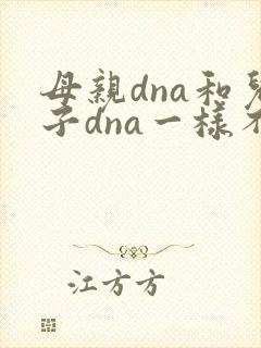 母亲dna和儿子dna一样不封面