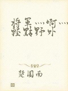将军灬啊灬啊灬轻点野外封面