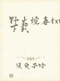 野火烧春txt下载封面