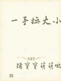 一手抚大小说