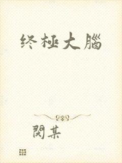 终极大脑封面