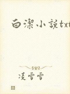白洁小说txt
