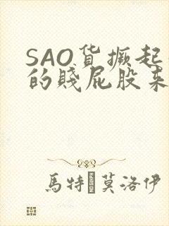 SAO货撅起你的贱屁股来