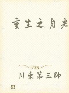 重生之月光少年封面