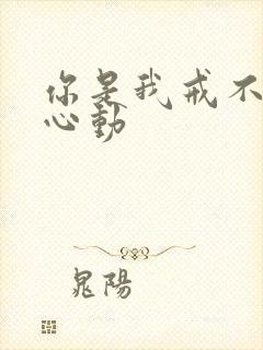 你是我戒不掉的心动