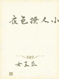 夜色撩人小说封面