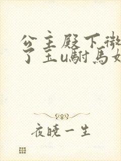 公主殿下微臣馋了玉u驸马姓傅