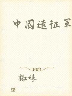 中国远征军小说