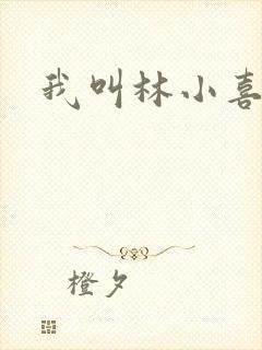 我叫林小喜17封面