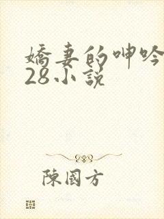 娇妻的呻吟1—28小说
