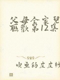 父母全家儿女大联欢第12集