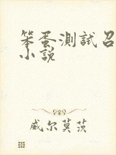 笨蛋测试召唤兽小说封面