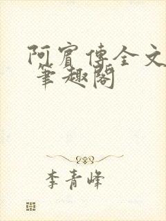 阿宾传全文阅读 笔趣阁
