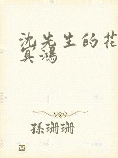 沈先生的花式调冥鸿封面