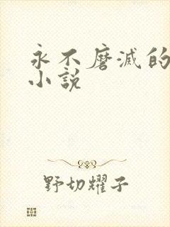 永不磨灭的番号小说