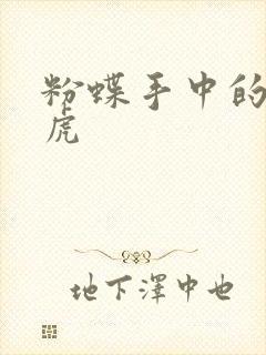 粉蝶手中的纸老虎