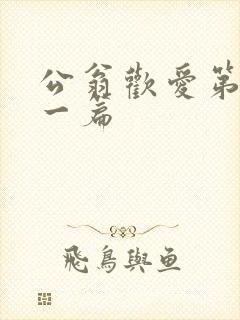 公翁欢爱第三十一篇