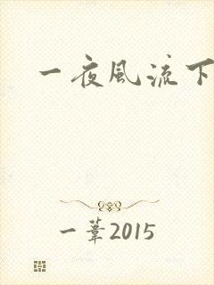 一夜风流下载