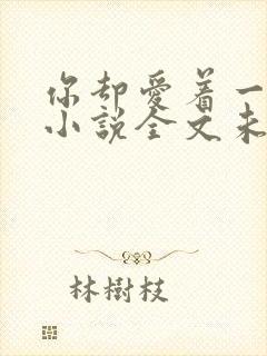 你却爱着一个他小说全文未删减免费