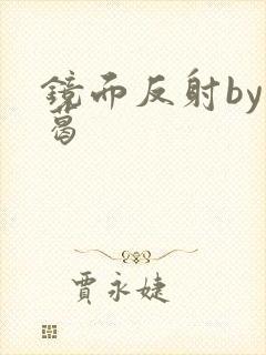 镜面反射by九葛