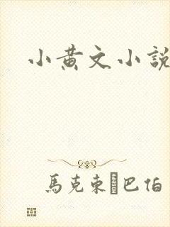 小黄文小说