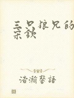 三只狼兄的宠妻宋钦