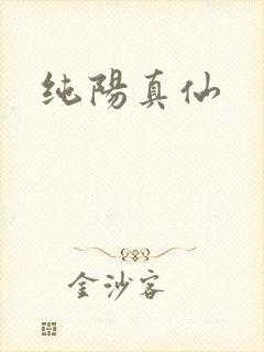 纯阳真仙