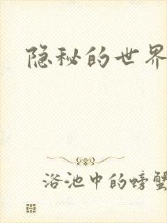 隐秘的世界封面