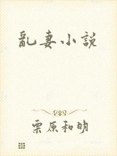乱妻小说