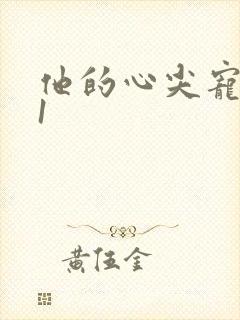 他的心尖宠1v1封面