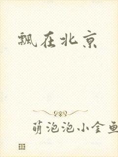飘在北京