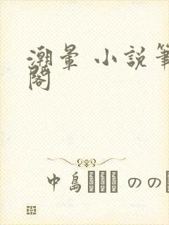 潮晕 小说笔趣阁