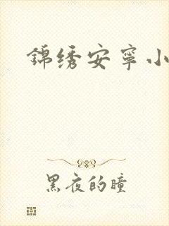 锦绣安宁小说