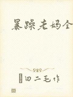 暴躁老妈全集封面