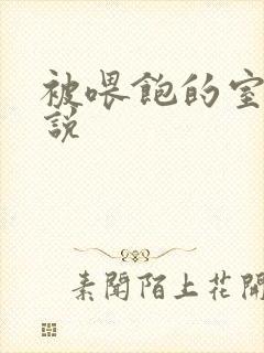 被喂饱的室友小说封面