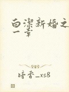 白洁新婚之夜第一章