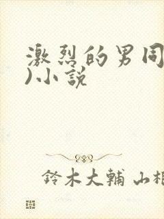 激烈的男同(h)小说