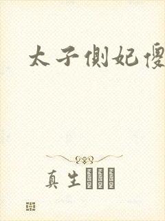 太子侧妃傻乎乎封面