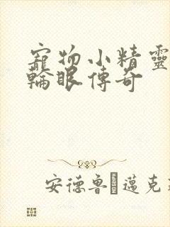 宠物小精灵之写轮眼传奇封面