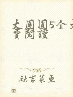 大团圆5全文免费阅读