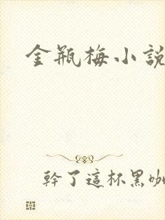 金瓶梅小说在线