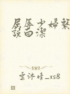 屈辱少妇系列小说白洁封面